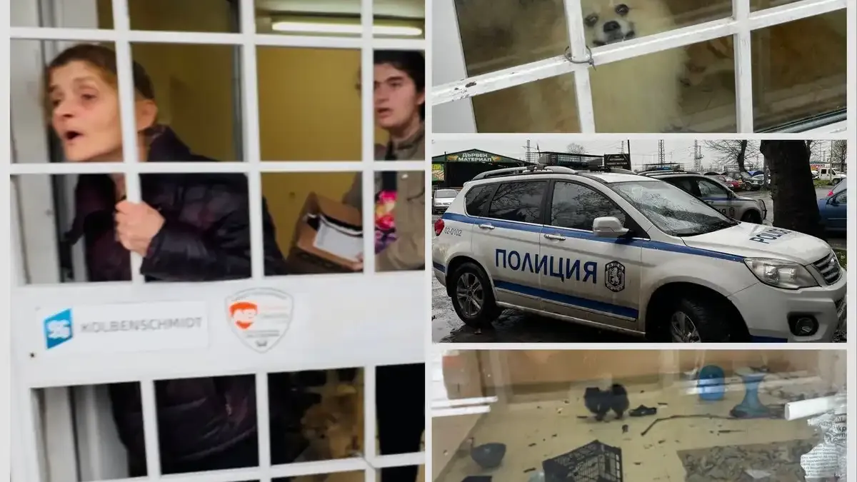 Лют скандал в Бургас: Жена превзе имот, напълни го с животни, оставени сами 10 дни в мизерия