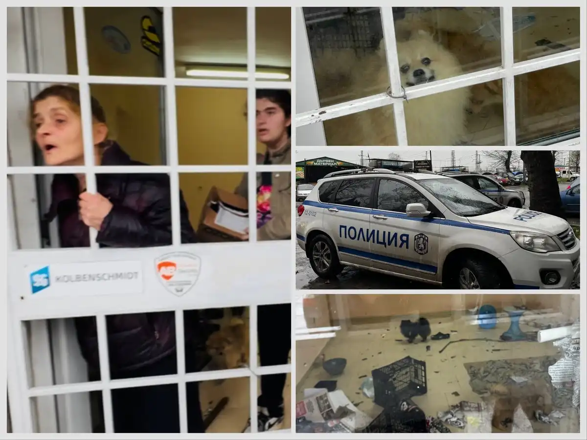 Лют скандал в Бургас: Жена превзе имот, напълни го с животни, оставени сами 10 дни в мизерия