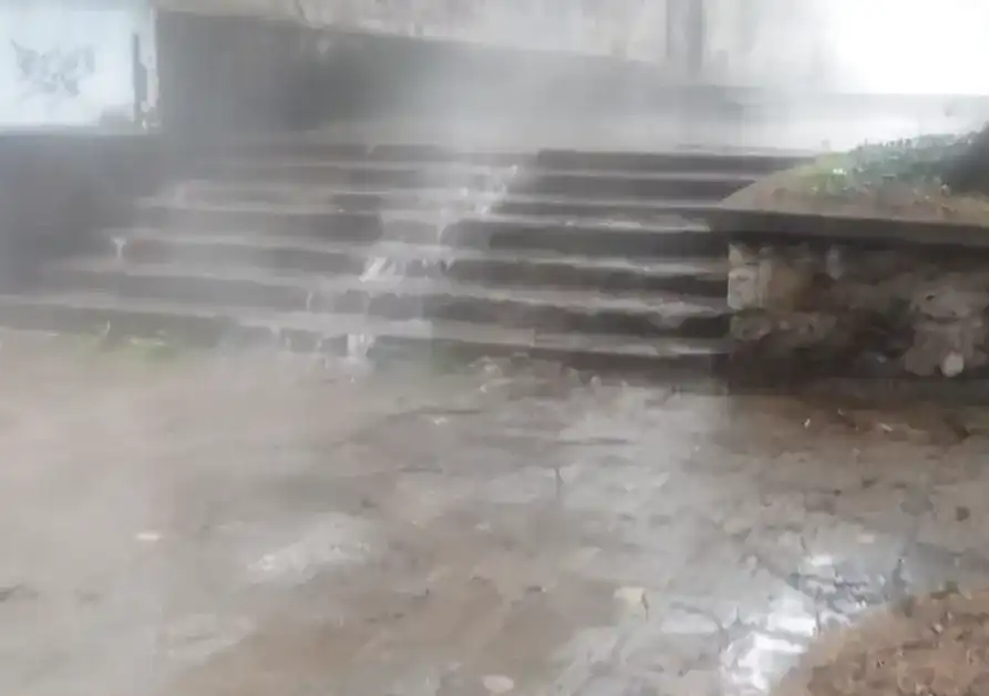 Видео взриви мрежата: „Приток на Струма“ заля парка в Перник