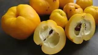 Българинът полудя по този лимон, съдържа 20 пъти повече Витамин С