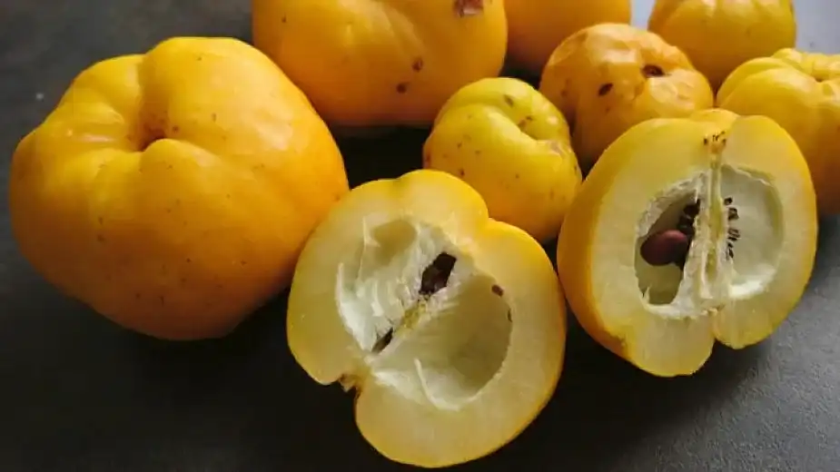 Българинът полудя по този лимон, съдържа 20 пъти повече Витамин С