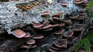 Мъж едва не умря зарази изкуствения интелект