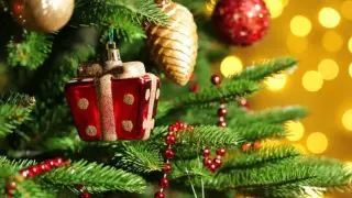 Американците масово избират истински елхи! Ето защо