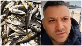 Брадърът Здравко бие камбаната за страшно чудо по морето: ﻿Никой не помни такова нещо Видео