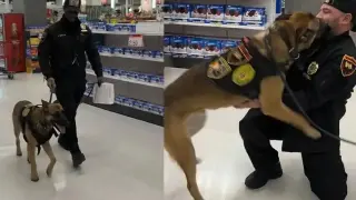 Служебно куче разпозна първия си стопанин и вижте какво направи Видео