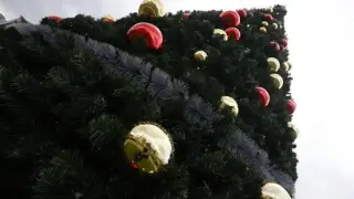 Коледната елха в София ще бъде запалена тази вечер