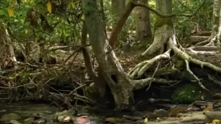 Милиардер тайно купи големи парцели земя, причината смая всички