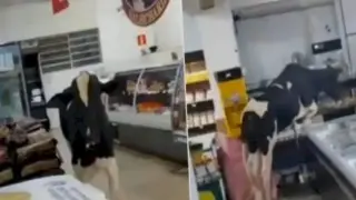 Разярен бик нахлу в супермаркет Видео
