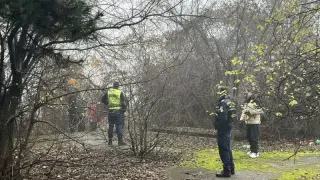 Зловещо! Оглозган труп в гората край лудницата във Враца, отцепиха района Снимки 18+