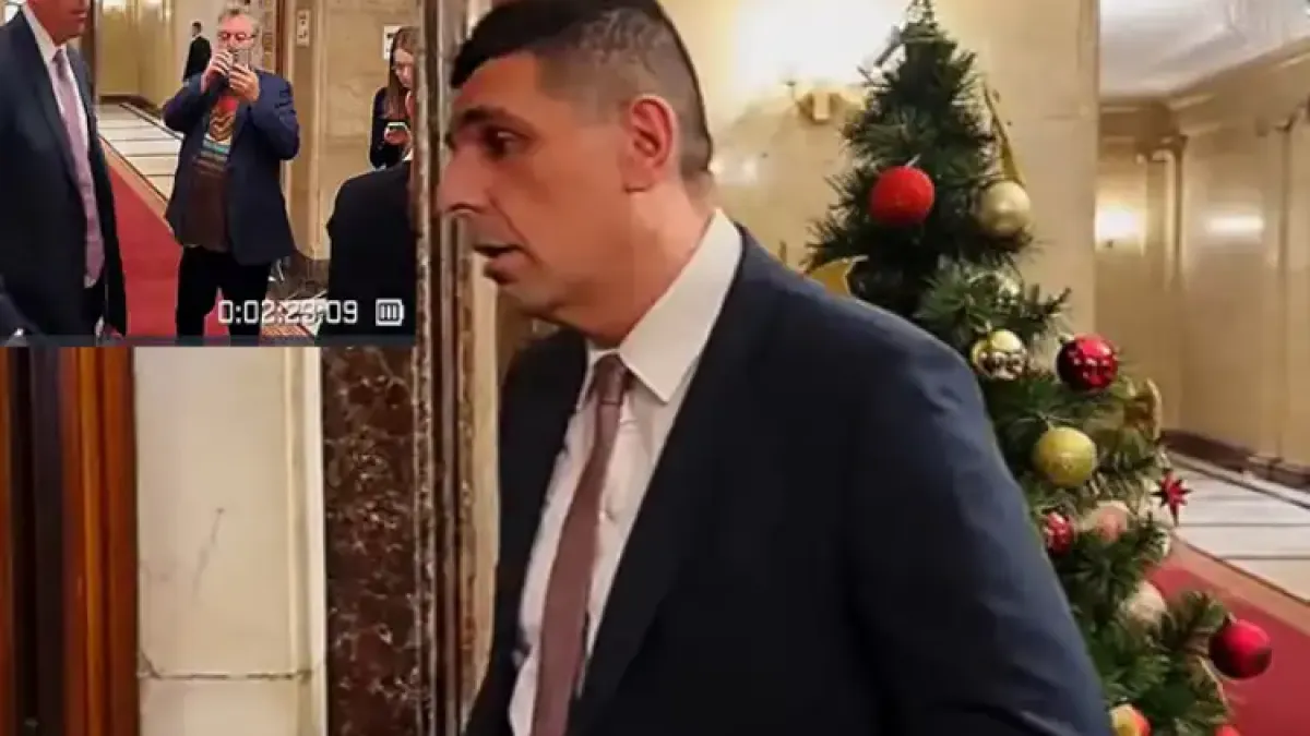 Елфът навлезе в тежък пубертет