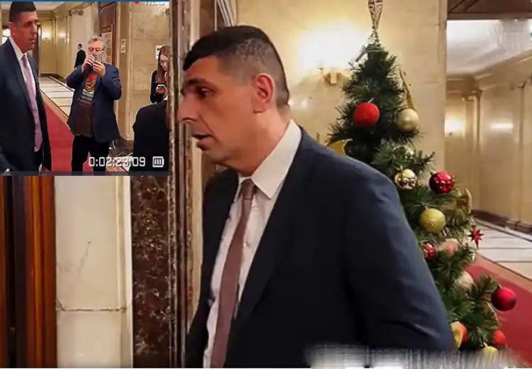 Елфът навлезе в тежък пубертет