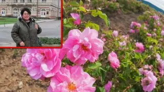 Срамна кокошкарска кражба разтърси Бургас
