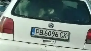 Е, това не го очаквахме: Необичайни „пътници“ в малък хечбек в Сливен Видео