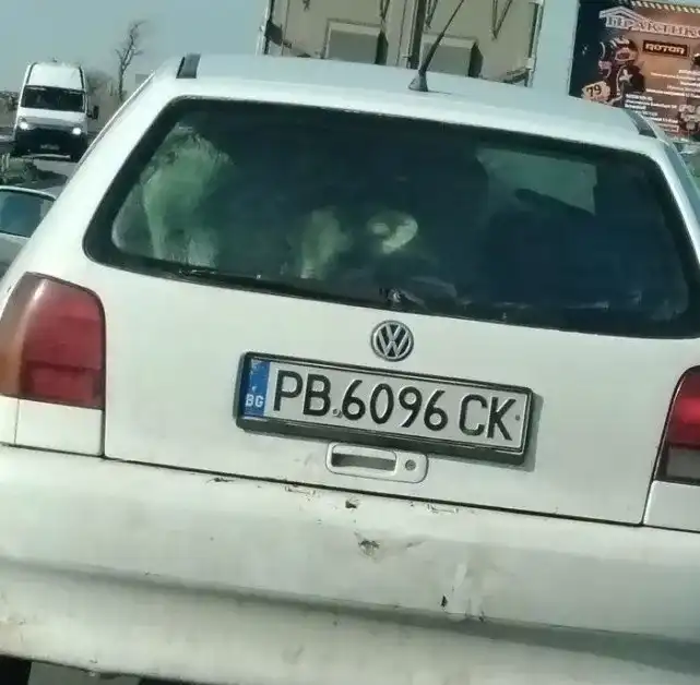 Е, това не го очаквахме: Необичайни „пътници“ в малък хечбек в Сливен Видео