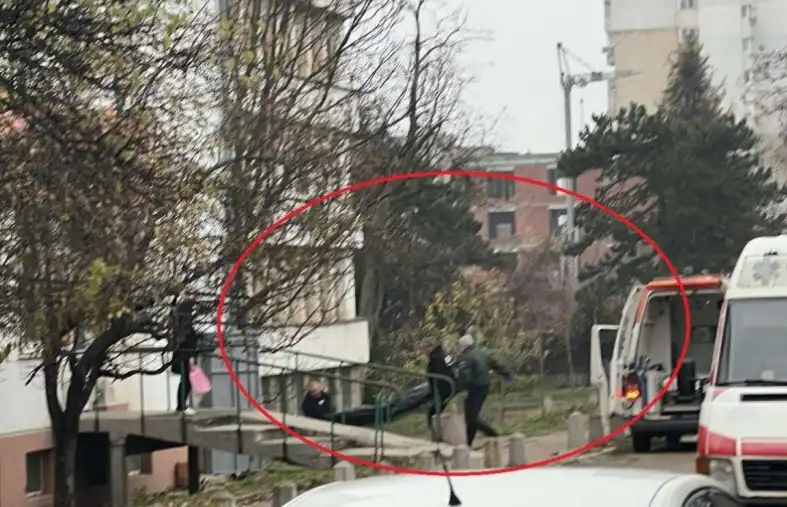 МВР с последни данни за оглозгания труп край лудницата във Враца