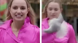 Вижте как чайка се блъсна в журналистка в предаване на живо Видео