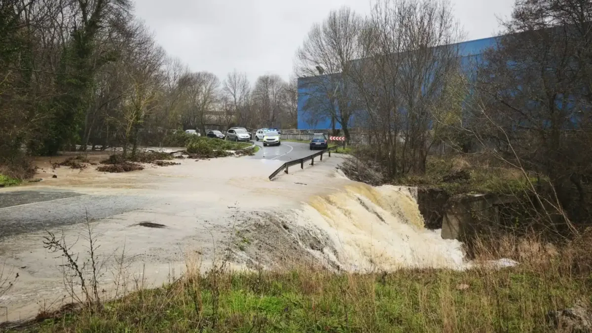 Брадърът Здравко с горещи новини за водното бедствие в любимия къмпинг на българите Видео