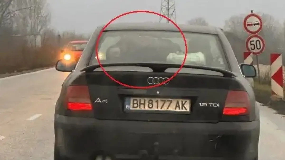Снимка с "Ауди" от Северозапада разбуни мрежата