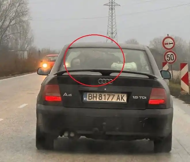 Снимка с "Ауди" от Северозапада разбуни мрежата