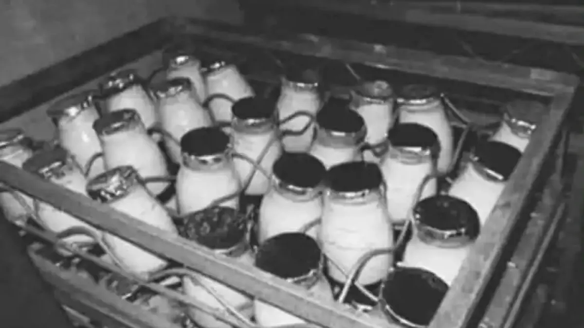 Една снимка от 1978 г.: Някога храните дори не се нуждаеха от етикети