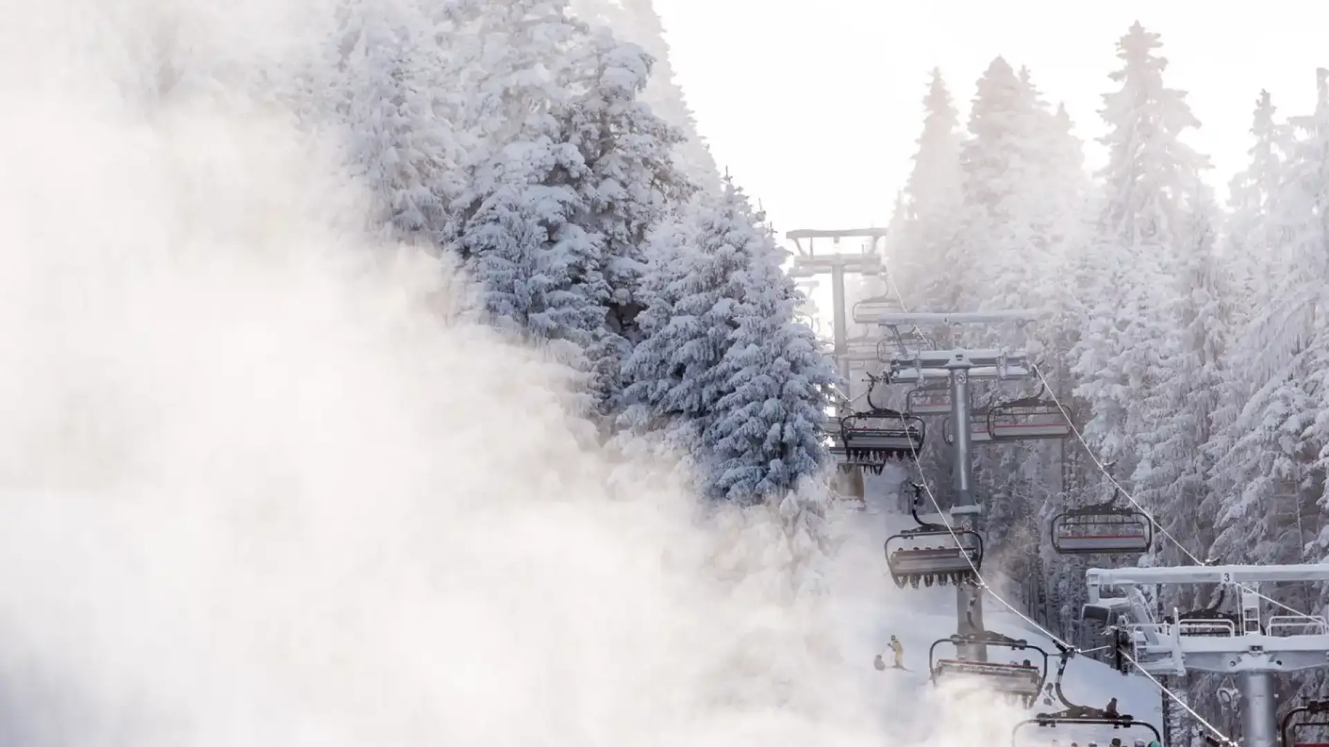 Пиян рецидивист вилня в Боровец, троши лифтове наред
