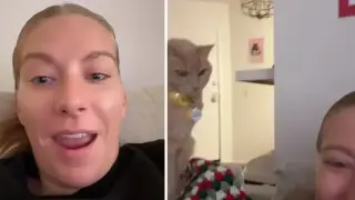 Собственичка ограничи храната на котарака си, но вижте неговата реакция Видео