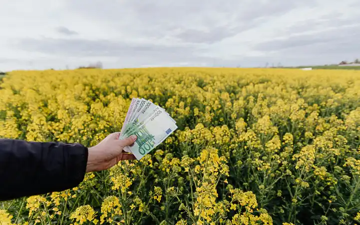Румъния жъне рекорди с рапицата, а България внася повече