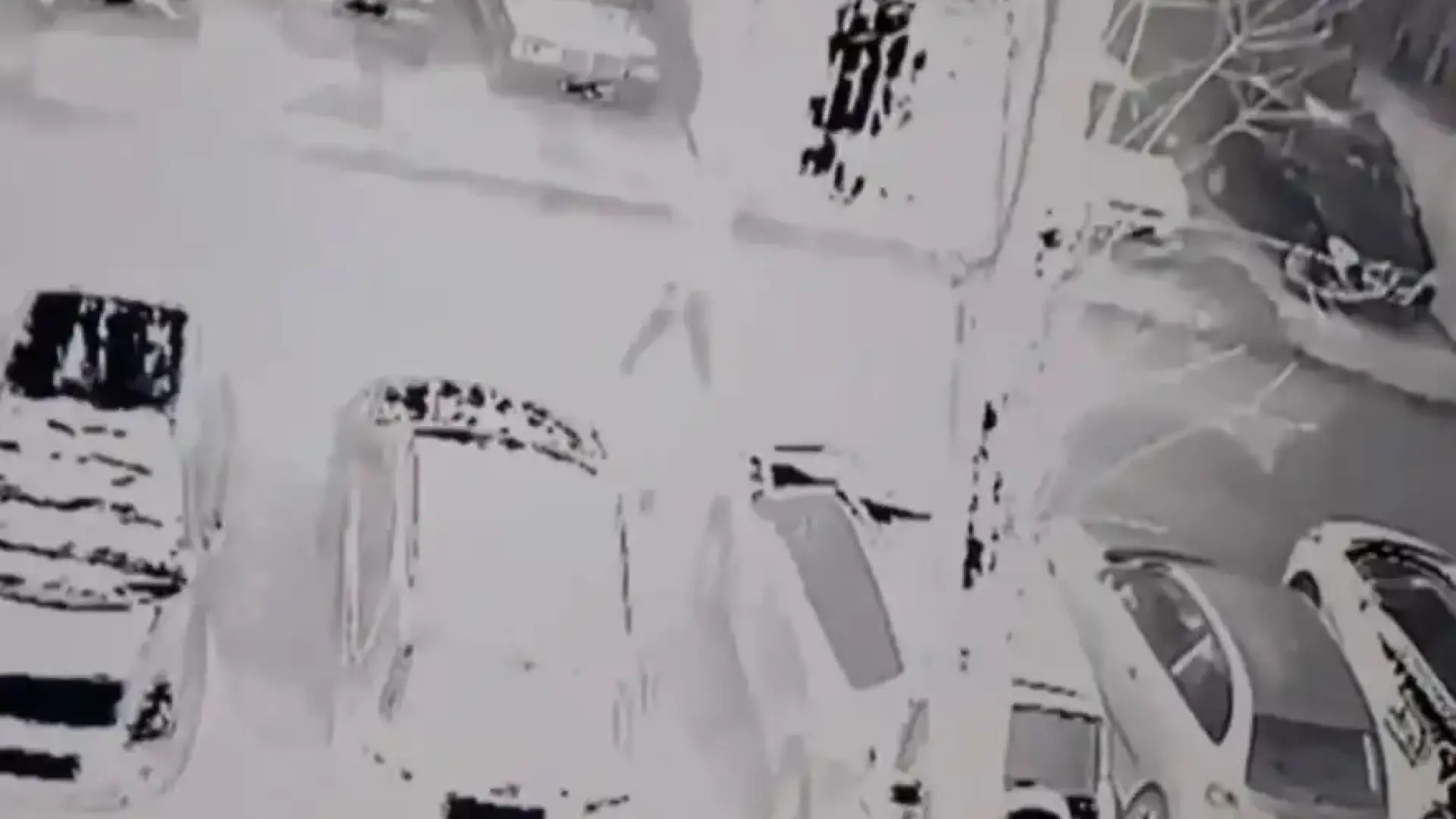 Страх в столичен квартал: агресивен мъж тормозел жени, майка му е в кома