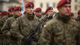 Полша хвърля армията в битката срещу африканската чума