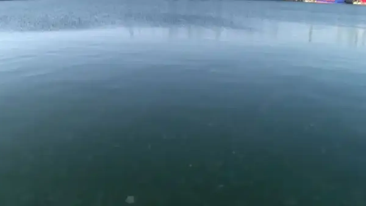 Уникална гледка в морето край Варна Снимки