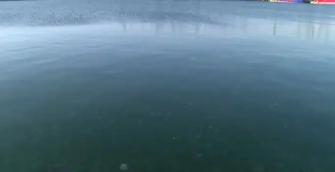 Уникална гледка в морето край Варна Снимки