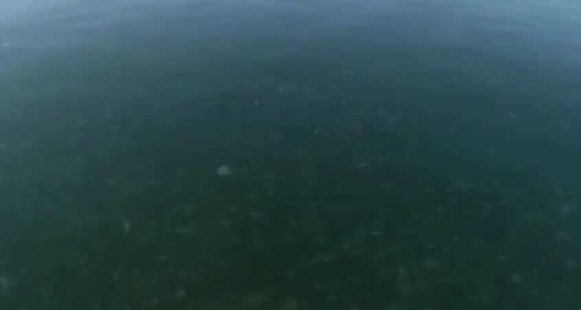 Уникална гледка в морето край Варна Снимки