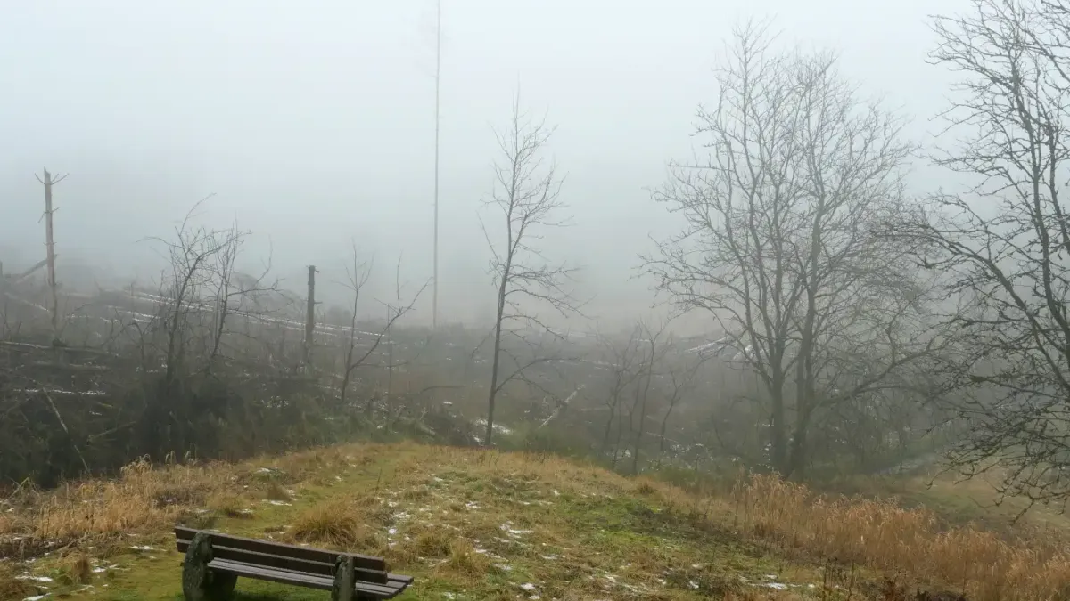 От НИМХ излязоха с прогноза за мъгла и студ в сряда, но после...