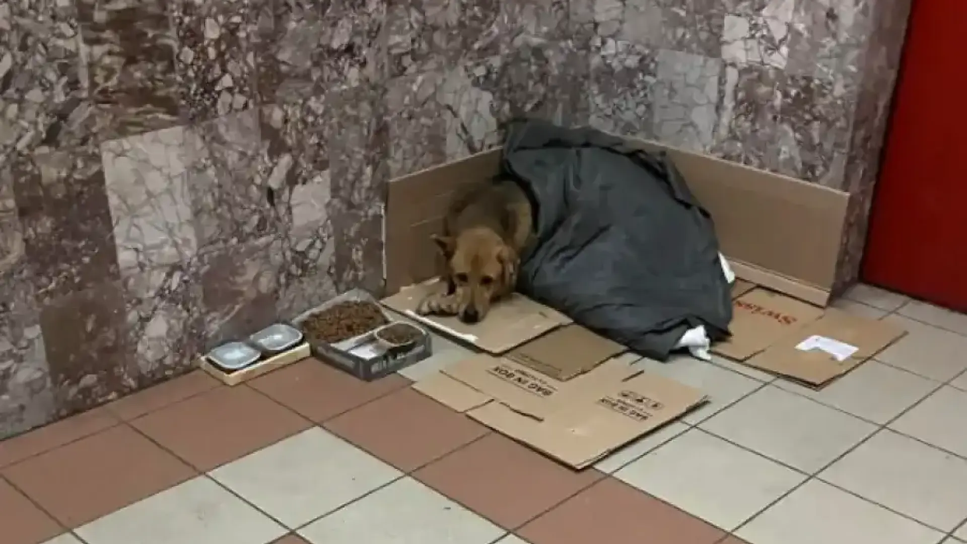 Не сме хора вече: Той потърси топлина в софийски подлез, заплашиха го