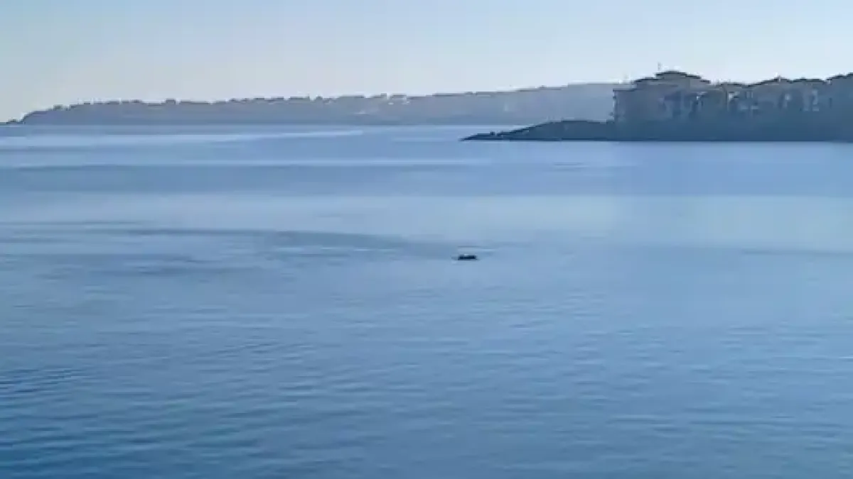 Щракнаха на видео в морето край Созопол...