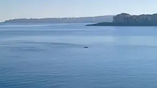 Щракнаха на видео в морето край Созопол...