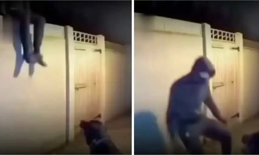 Видео 18+ запечата как куче посрещна брутално неканен гост, влязъл през ограда на къща