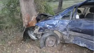 Млада шофьорка се заби в дърво край пътя, линейки летят към болницата