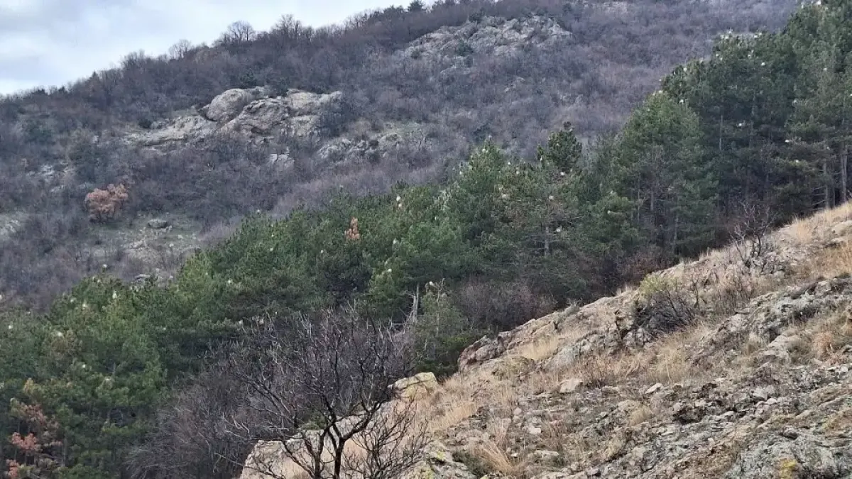 Най-опасната гад у нас нападна още едно приказно място Снимки