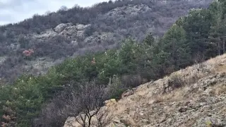 Най-опасната гад у нас нападна още едно приказно място Снимки