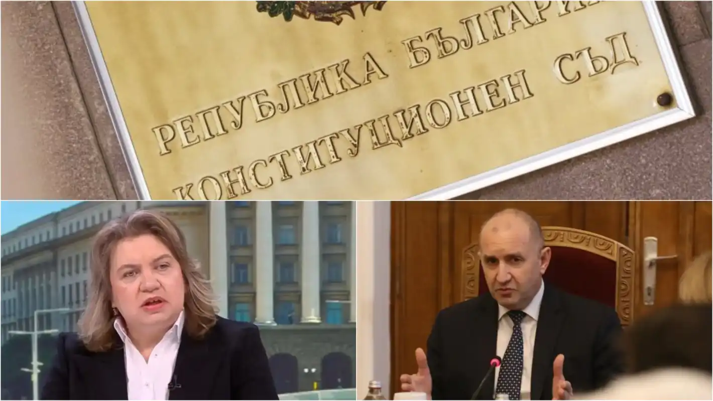 Конституционен съдия с информация от кухнята за делото за референдума за еврото