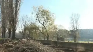 След смъртен случай: Емблема на Пловдив край Марица отива в историята