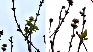 Плашеща аномалия в наш голям град, ще се сбъдне ли старото поверие?