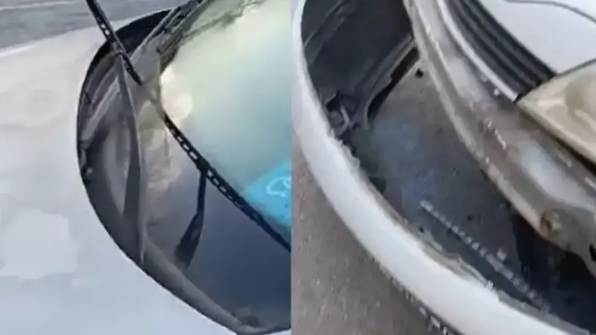 Гавра педи Коледа с шофьорка с кола на инвалид в София Видео