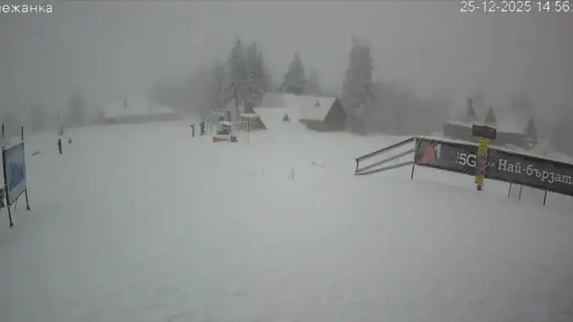 Зимна приказка в Родопите: 15 см. сняг натрупа във... Снимки