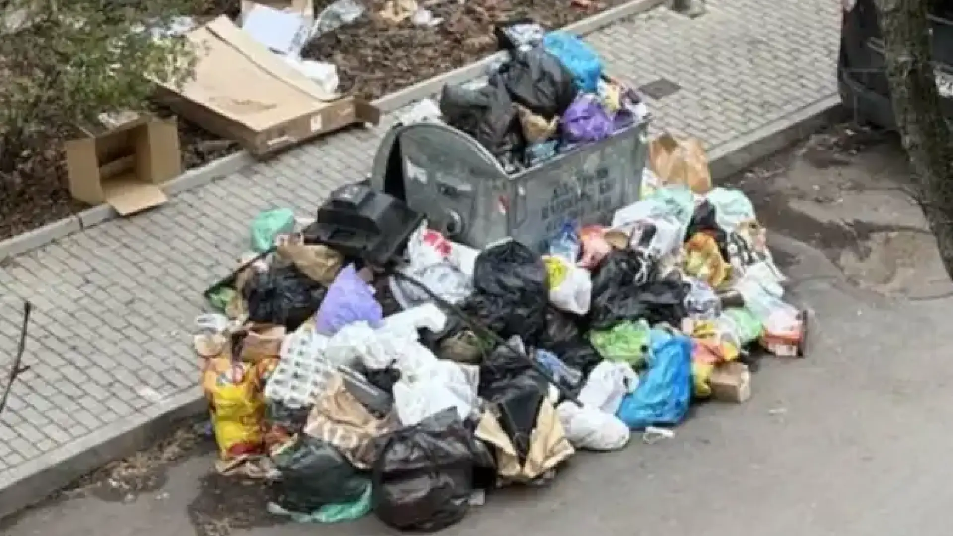 Столичанка: От 5 дни си хвърлям боклука в други квартали, снегът поне го скри