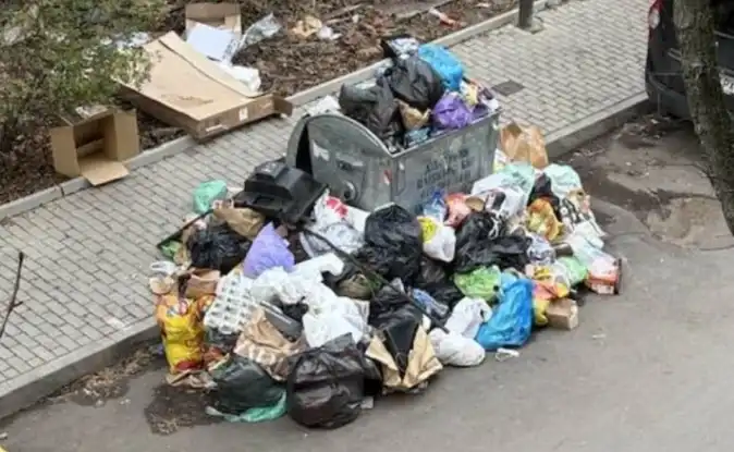 Столичанка: От 5 дни си хвърлям боклука в други квартали, снегът поне го скри