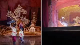Легендарен скейтбордист направи своя дебют в балета Видео