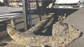 Това е тайнственият кораб, открит в Мичуринския залив край Царево