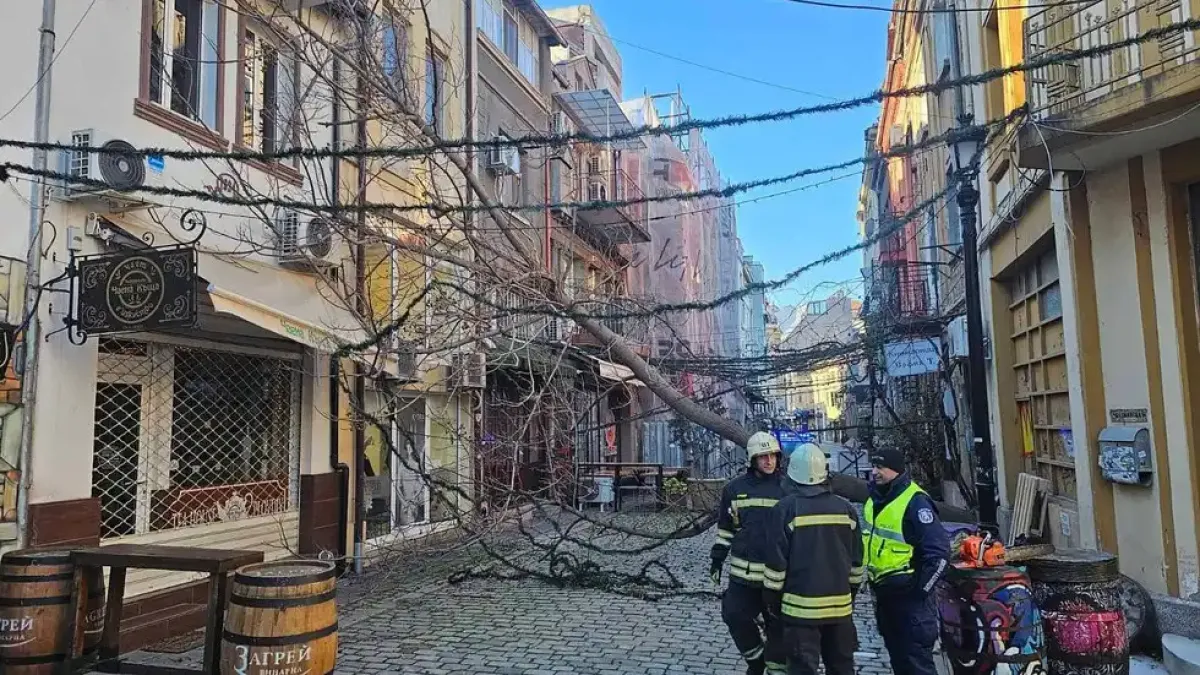 Стихийният вятър продължава: НИМХ обяви за какво да се готвим в понеделник